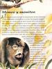 Revista Chachalacas